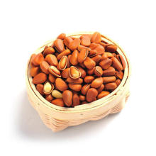 wholesale bulk pine nut in shell